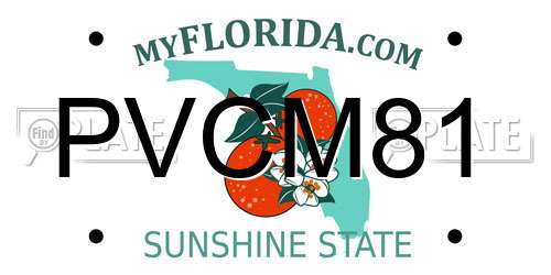 PVCM81 Florida License Plate