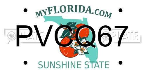 PVCQ67 Florida License Plate