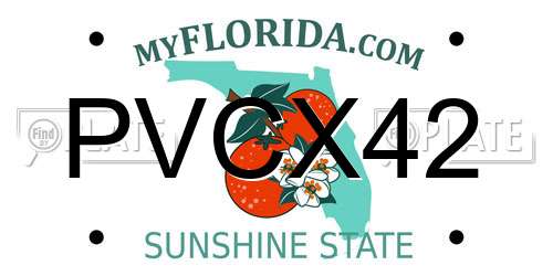 PVCX42 Florida License Plate