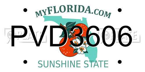 PVD3606 Florida License Plate