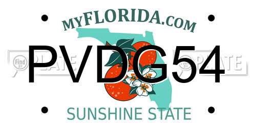 PVDG54 Florida License Plate