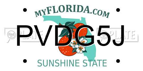 PVDG5J Florida License Plate