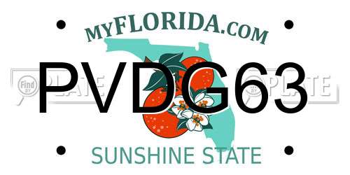 PVDG63 Florida License Plate