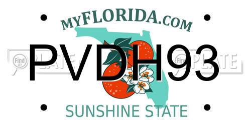 PVDH93 Florida License Plate