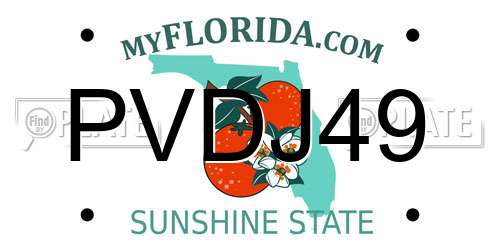 PVDJ49 Florida License Plate