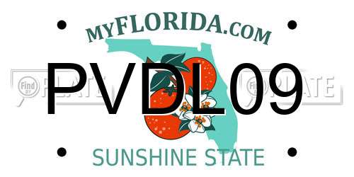 PVDL09 Florida License Plate
