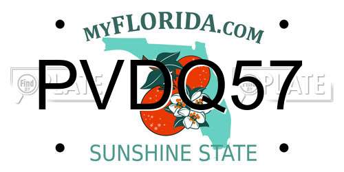 PVDQ57 Florida License Plate