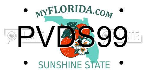 PVDS99 Florida License Plate