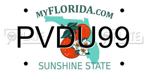 PVDU99 Florida License Plate