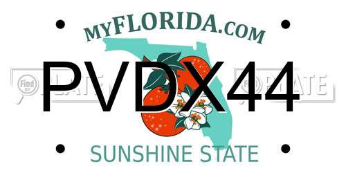 PVDX44 Florida License Plate
