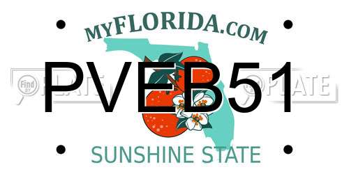 PVEB51 Florida License Plate