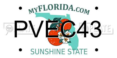 PVEC43 Florida License Plate