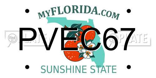 PVEC67 Florida License Plate