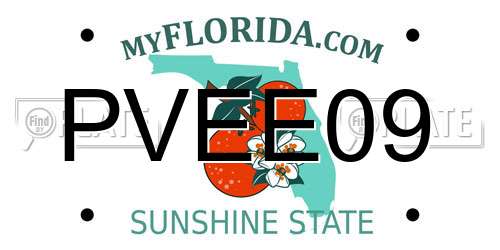 PVEE09 Florida License Plate
