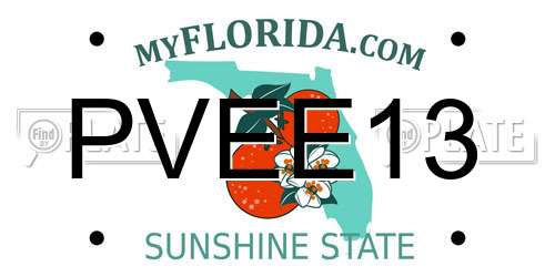 PVEE13 Florida License Plate