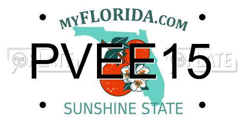 PVEE15 Florida License Plate