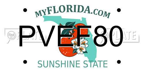 PVEF80 Florida License Plate