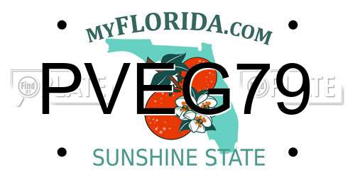 PVEG79 Florida License Plate