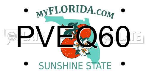 PVEQ60 Florida License Plate