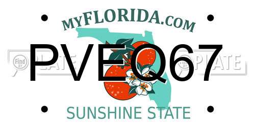 PVEQ67 Florida License Plate