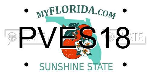 PVES18 Florida License Plate