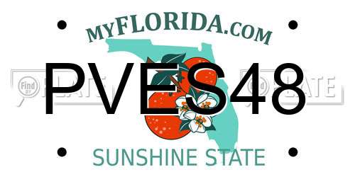 PVES48 Florida License Plate