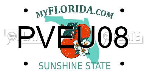PVEU08 Florida License Plate