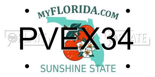 PVEX34 Florida License Plate