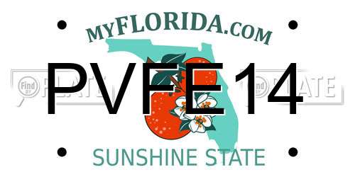 PVFE14 Florida License Plate