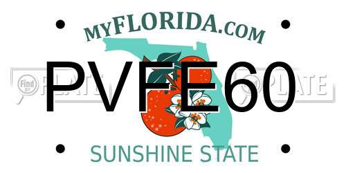 PVFE60 Florida License Plate