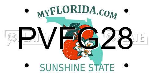 PVFG28 Florida License Plate