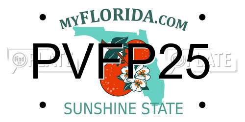 PVFP25 Florida License Plate