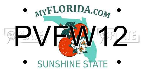 PVFW12 Florida License Plate