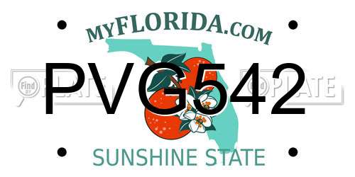 PVG542 Florida License Plate