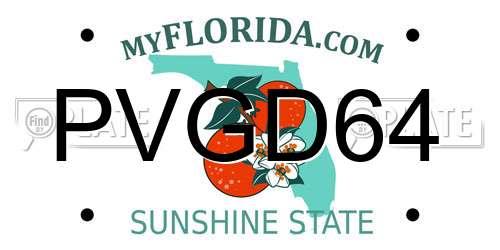 PVGD64 Florida License Plate