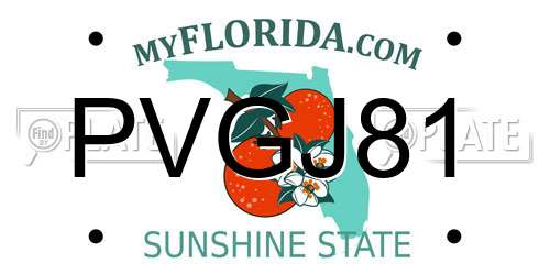 PVGJ81 Florida License Plate