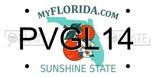 PVGL14 Florida License Plate