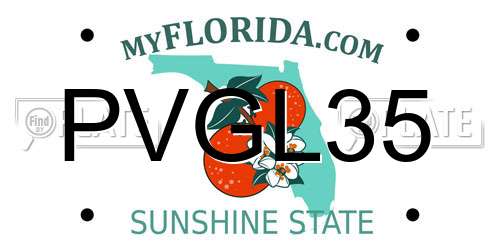 PVGL35 Florida License Plate