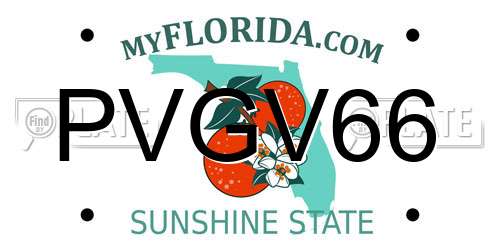 PVGV66 Florida License Plate