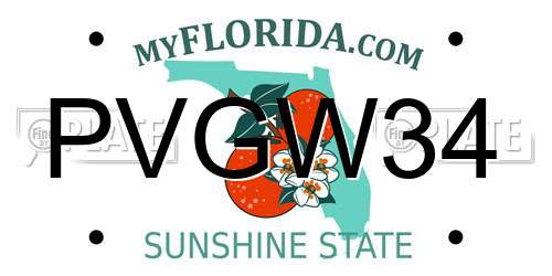 PVGW34 Florida License Plate