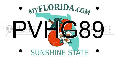PVHG89 Florida License Plate