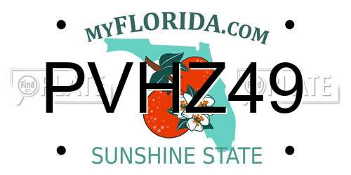 PVHZ49 Florida License Plate