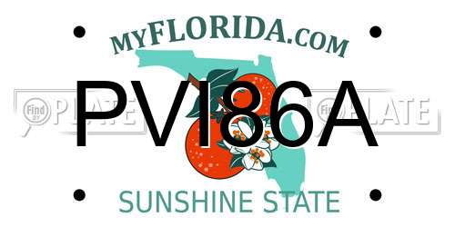 PVI86A Florida License Plate