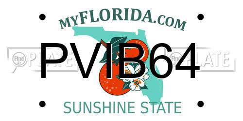 PVIB64 Florida License Plate