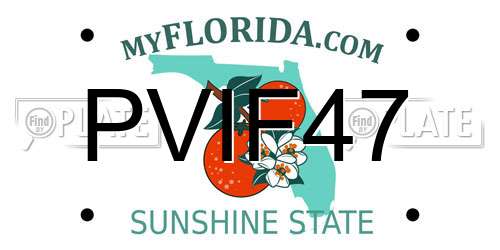 PVIF47 Florida License Plate