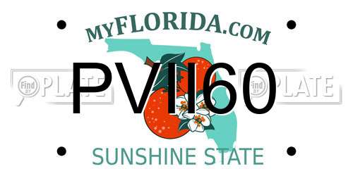 PVII60 Florida License Plate