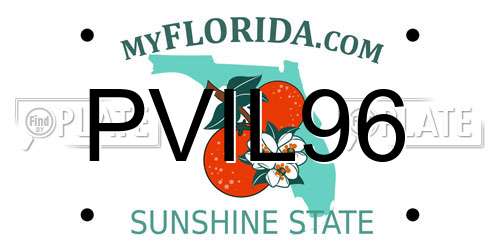 PVIL96 Florida License Plate