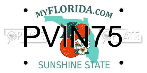 PVIN75 Florida License Plate