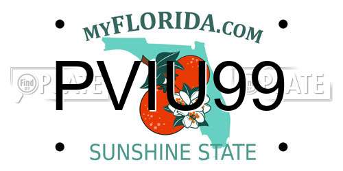 PVIU99 Florida License Plate