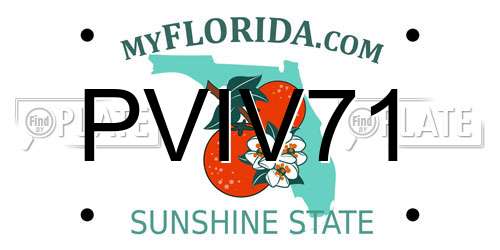 PVIV71 Florida License Plate